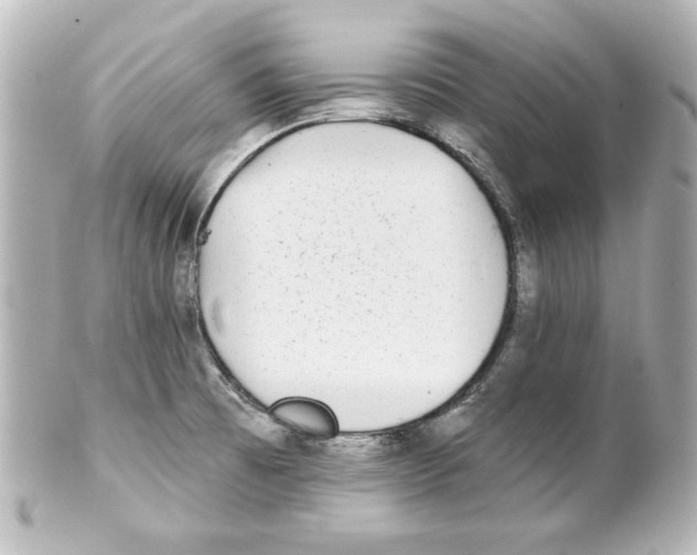 X0000101451473200808041007