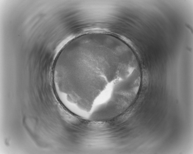 X0000101451474200808041007