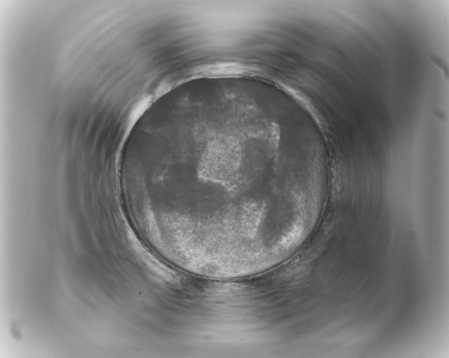 X0000101451475200808041007