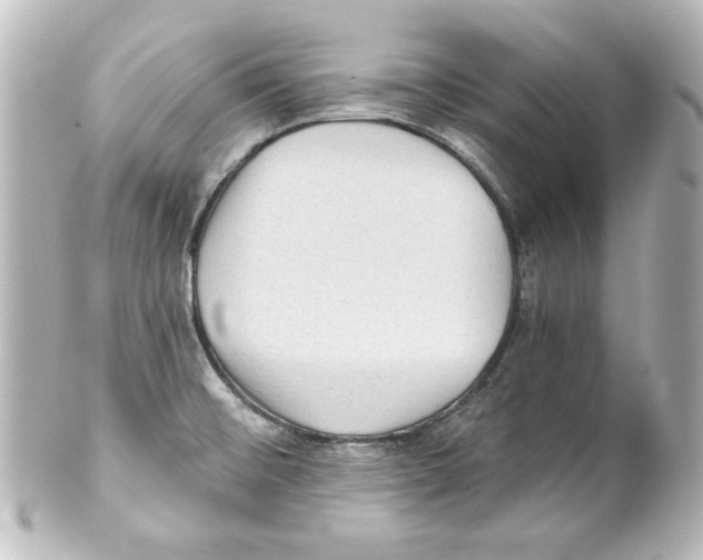 X0000101451476200808041007