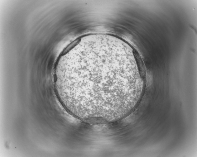 X0000101451477200808041007