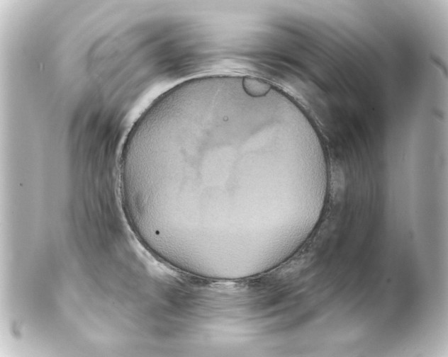 X0000101451478200808041007