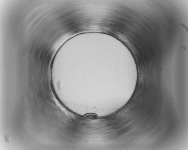 X0000101451479200808041007