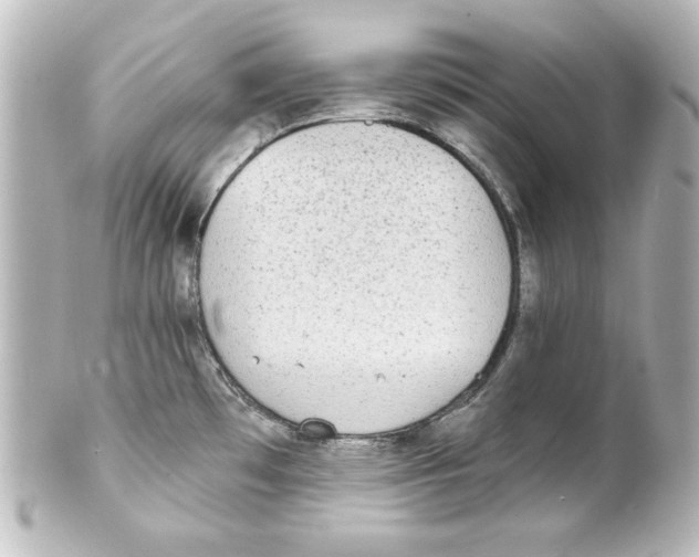 X0000101451481200808041007