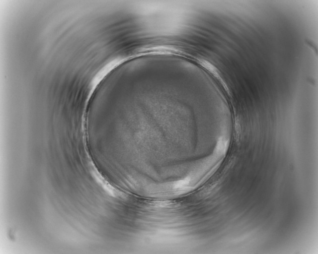 X0000101451482200808041007