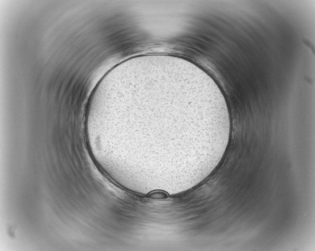 X0000101451483200808041007