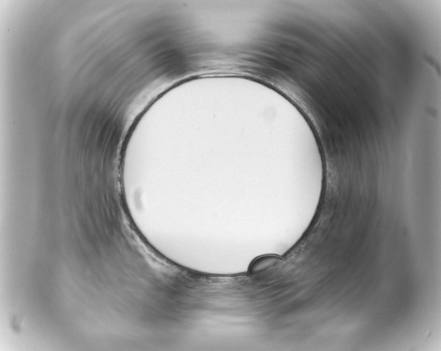 X0000101451485200808041007