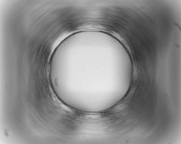 X0000101451486200808041007