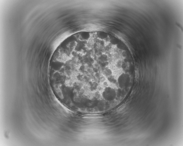 X0000101451487200808041007