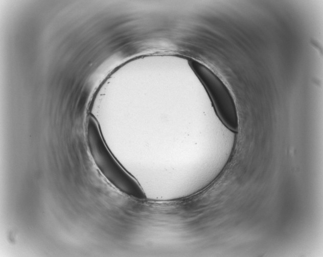 X0000101451488200808041007