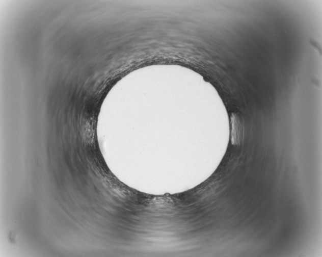 X0000101451491200808041006