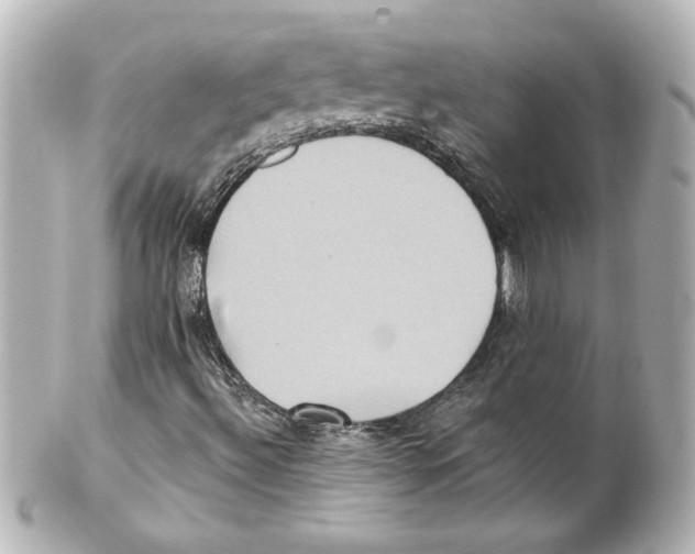 X0000101451492200808041006