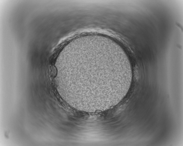 X0000101451494200808041006