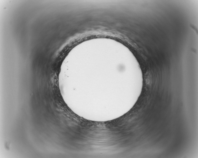 X0000101451495200808041006