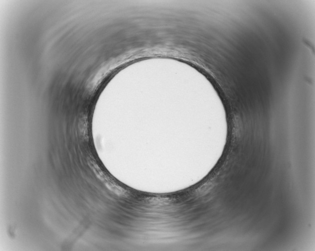 X0000101451499200808041007