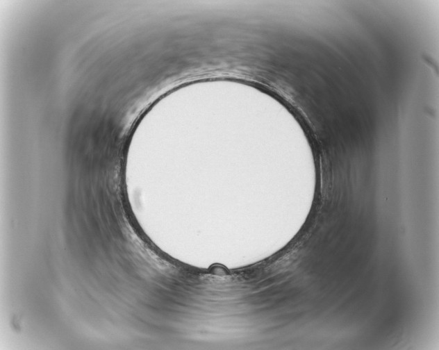 X0000101451500200808041007