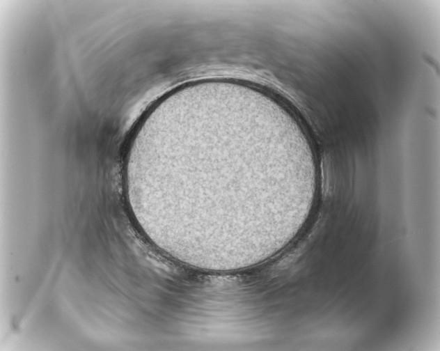 X0000101451501200808041007