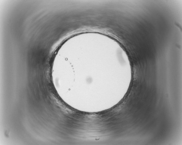 X0000101451502200808041007