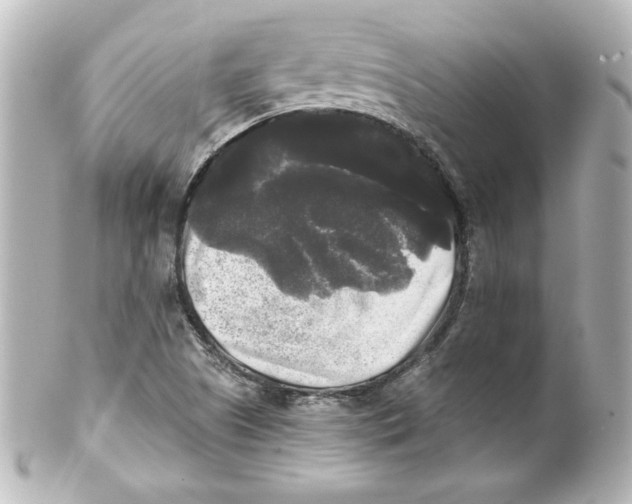 X0000101451505200808041007