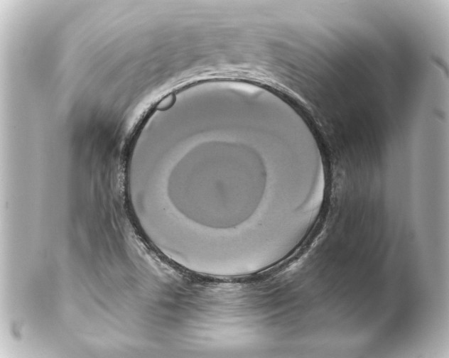 X0000101451506200808041007