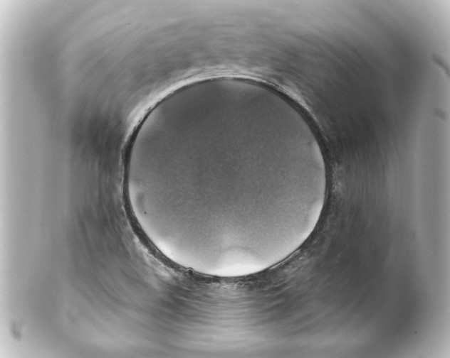 X0000101451508200808041007