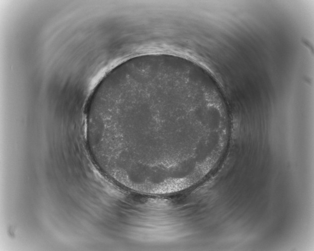 X0000101451509200808041007