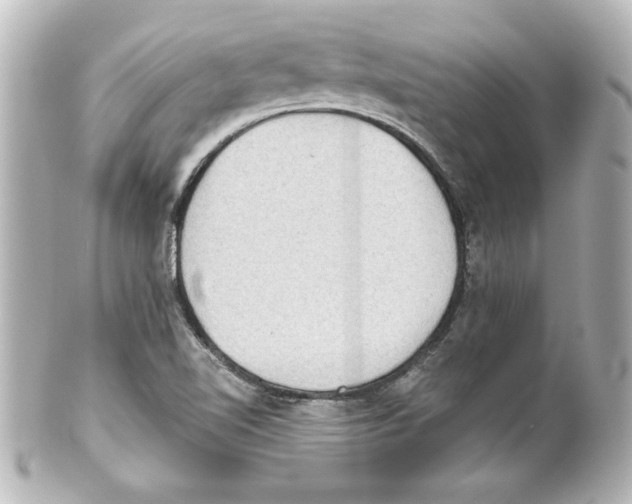 X0000101451510200808041007