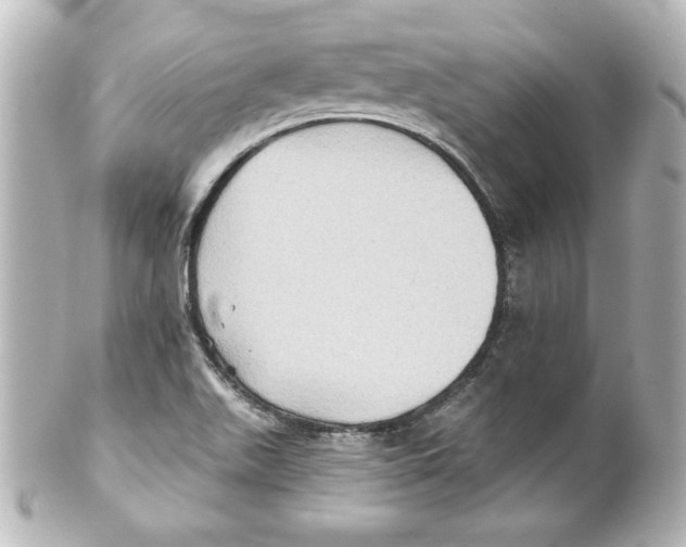 X0000101451511200808041007