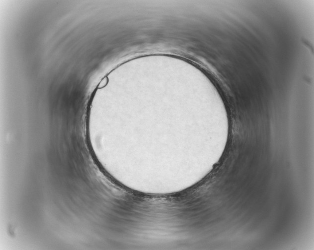 X0000101451512200808041007