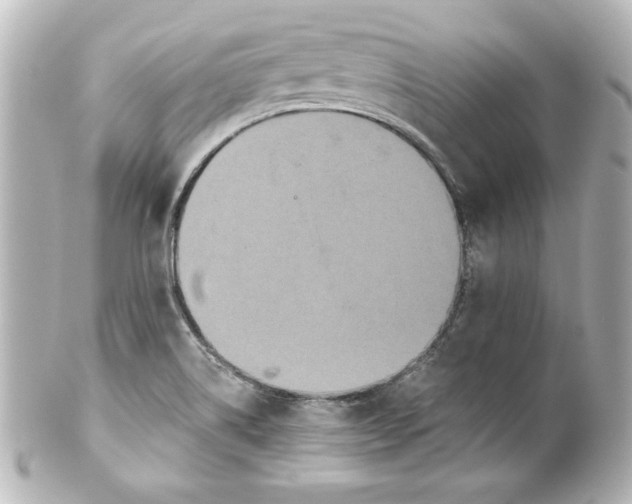 X0000101451514200808041007