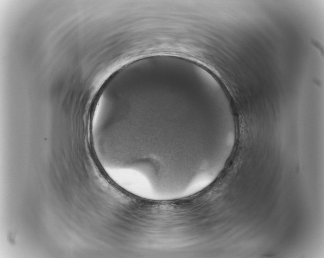 X0000101451515200808041007