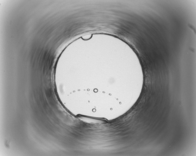 X0000101451516200808041007