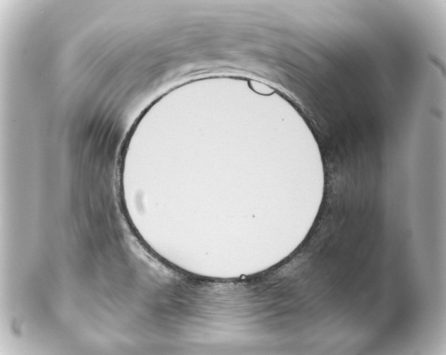 X0000101451518200808041007