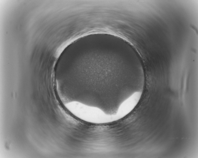 X0000101451519200808041007