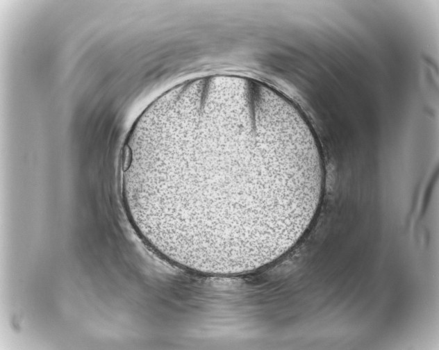 X0000101451520200808041007