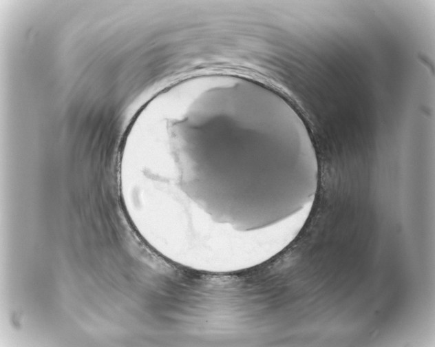 X0000101451522200808041007