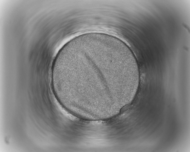 X0000101451523200808041007