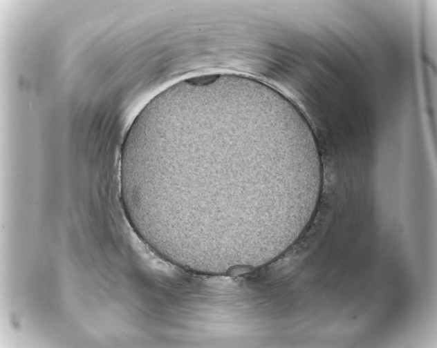 X0000101451524200808041007