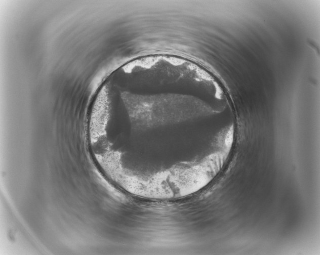 X0000101451525200808041007