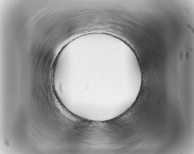 X0000101451526200808041007