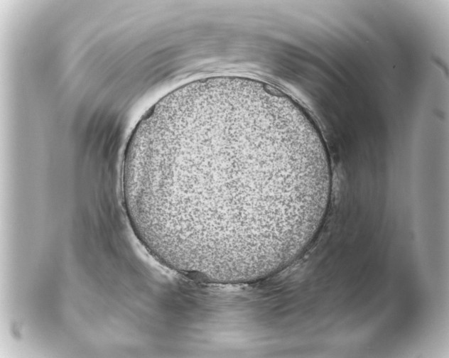 X0000101451528200808041007