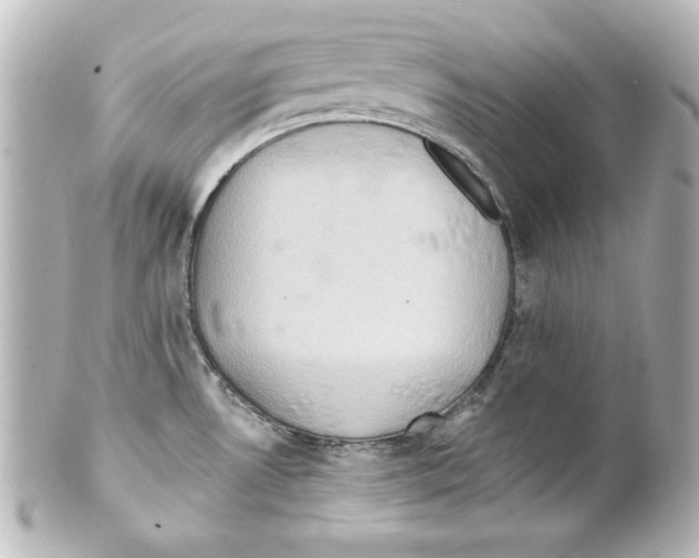 X0000101451530200808041007