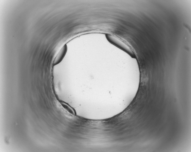 X0000101451532200808041007