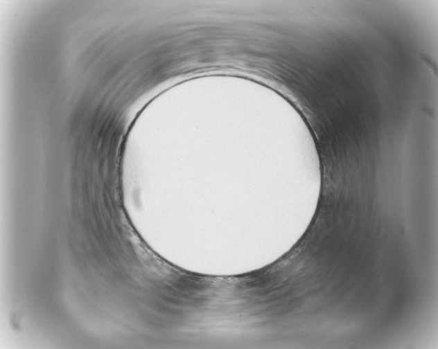 X0000101451534200808041007