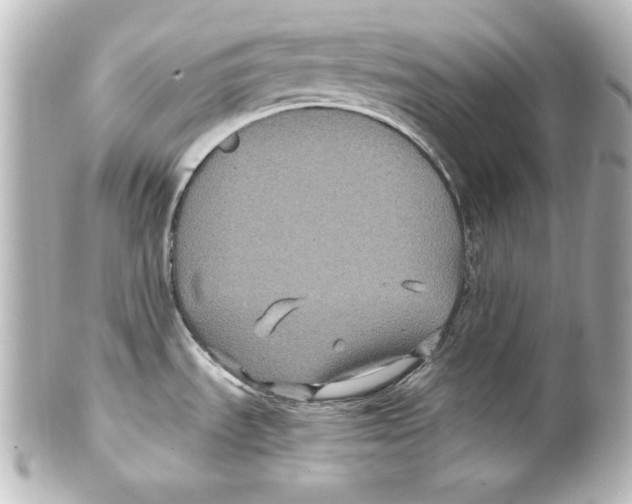 X0000101451535200808041007