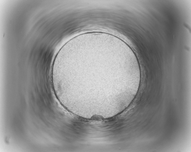 X0000101451536200808041007