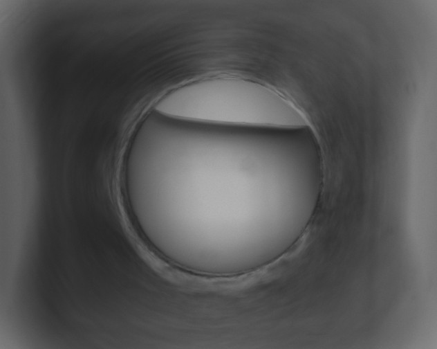 X0000101460001200807071142