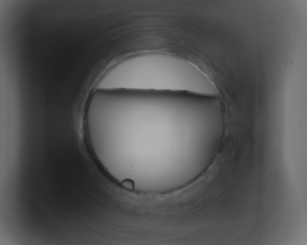 X0000101460002200807071142