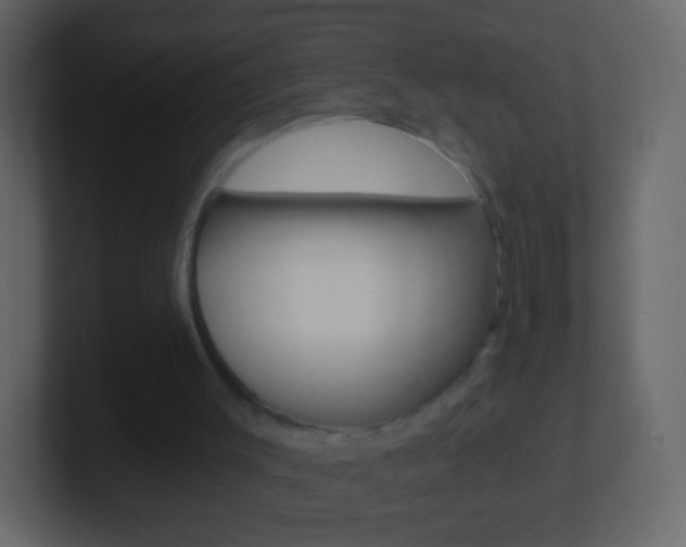 X0000101460003200807071142