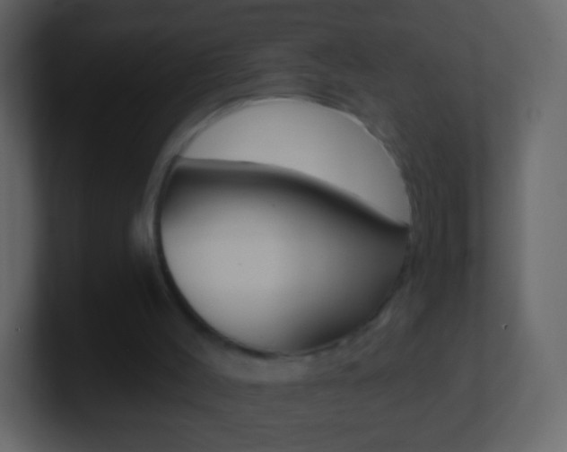 X0000101460004200807071142